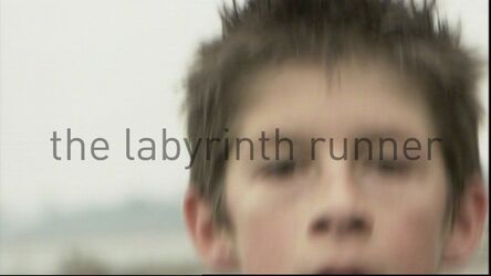 Robbie Cornelissen, ‘The Labyrinth Runner’, 2009