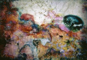 Coke Wisdom O'Neal, ‘The Gospel of Wealth’, 2013