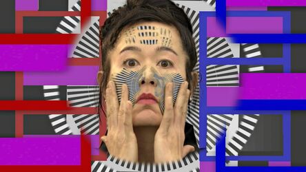 Hito Steyerl, ‘How Not to Be Seen: A Fucking Didactic Educational .MOV File’, 2013