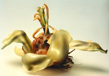 Carla Mattii, ‘Composizione 6’, 2000