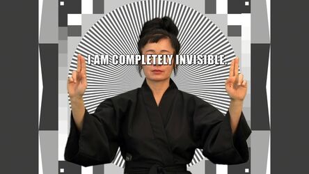 Hito Steyerl, ‘How Not to be Seen: A Fucking Didactic Educational .MOV File’, 2013