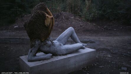 Pierre Huyghe, ‘A Way in Untilled’, 2012
