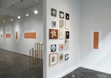 The Blossom as the Self, installation view