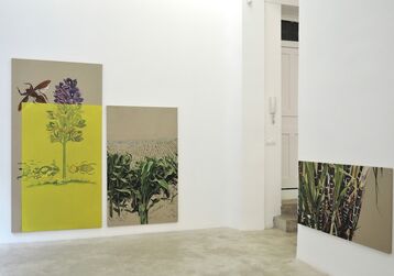 Primavera silenciosa, installation view