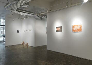 The Blossom as the Self, installation view
