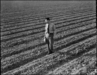 WRA by Dorothea Lange, installation view