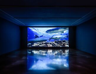 Shezad Dawood : LEVIATHAN : Sunspots and Whales, installation view