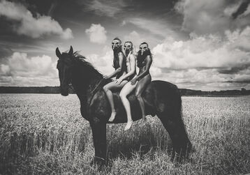 Pamela Hanné, ‘a Horse With Friends’, 2020