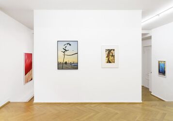 Collected Stories, installation view