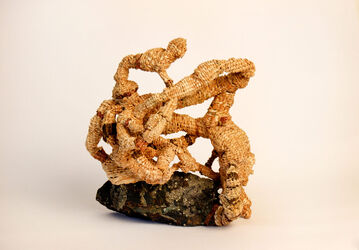 Jose Miguel Marty, ‘Sin titulo’, 2020-2022