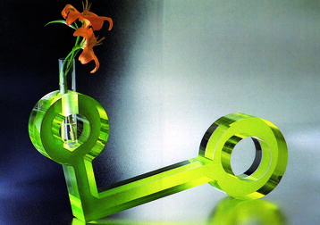 Andrea Anastasio, ‘Presente’, 1999