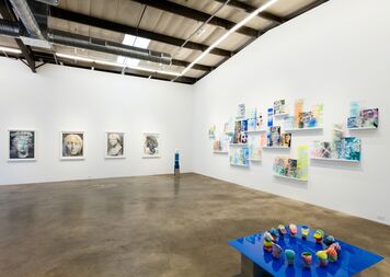 Rachel Livedalen: Capable Looking, installation view