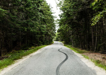 Andrew Hetherington, ‘Deer Isle Burnout’, 2003