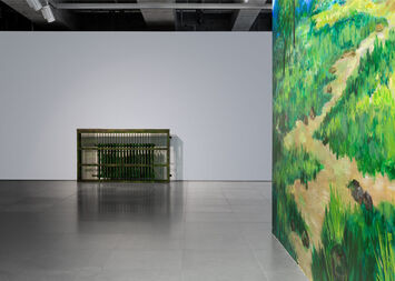 Two Rooms - Solo Exhibition of Wang Wei, installation view