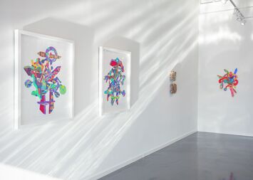 Color & Form, installation view