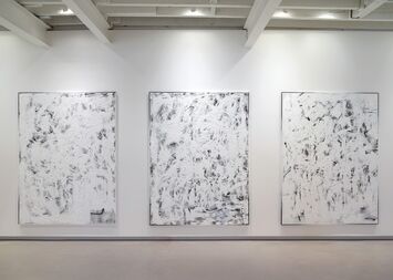Chris Succo: Beauty Knows No Pain, installation view