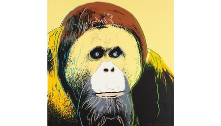 Andy Warhol, ‘Orangutan AP (FS II.299)’, 1983