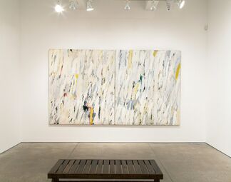 Living Large: Big Paintings from the Allan Stone Collection, installation view