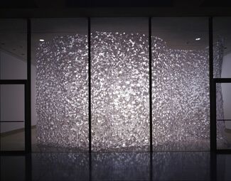 The Shape of Space, installation view