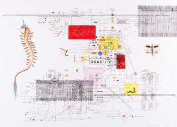 Zheng Xiaolong 郑龙一海, ‘Private Biology No.14’, 2016