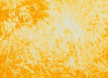 Adrian Schiess, ‘Coquelicot II’, 2016