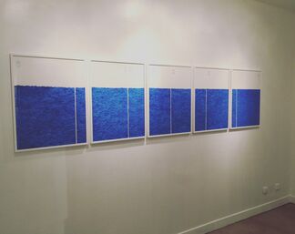 The Fan's Blue, installation view