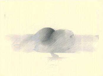 Wil Sensen, ‘Mettnau 9. Birnen Po’, 1978