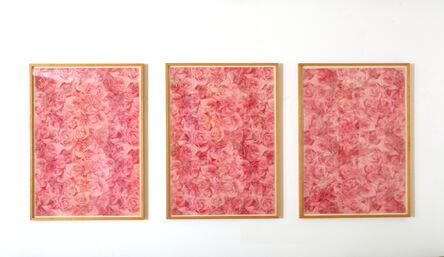 Sherrie Levine, ‘Flower Papers: 1-8 Scarlet Roses’, 2005