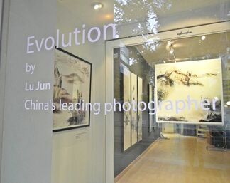 Evolution, installation view
