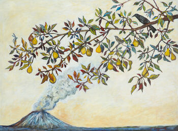 Kim Osgood, ‘Mount St Helens, A Story Told Anew’, 2020