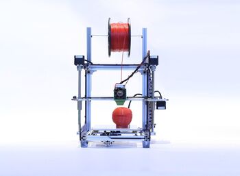 Sean Roh, ‘Regeneration in Progress’, 2014