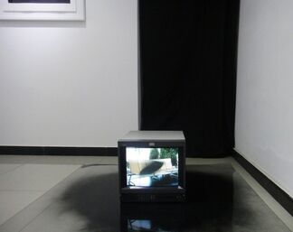A Victory Over Nothingness: Purse Snatch in Streetcar and Other Post Fevralist Absurdities, installation view