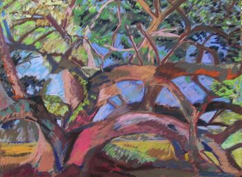 Kate Trepagnier, ‘Seven Brothers Oak’, 2014