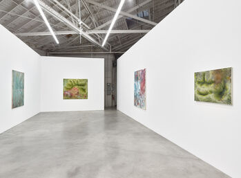Toy Dust, installation view