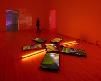 Diana Thater: The Sympathetic Imagination, installation view
