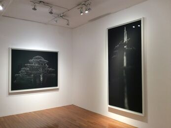 BIANCA SFORNI: Trees from the Pacific Shores, installation view