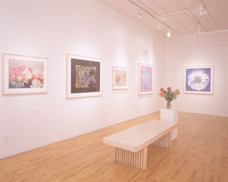 Andy Warhol Forgotten Female and Flowers, installation view