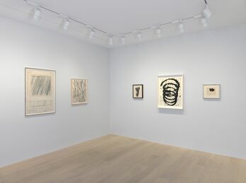 A line (a)round an idea: Selected Works on Paper, installation view