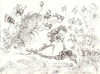 Anna Plavinskaya, ‘"Forgotten Scissors in Garden of Elsinore"’, 2020