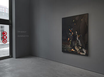 Ori Gersht - On Reflection, installation view