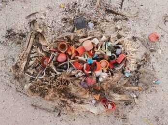 Chris Jordan, ‘Midway, CF000668’, 2009