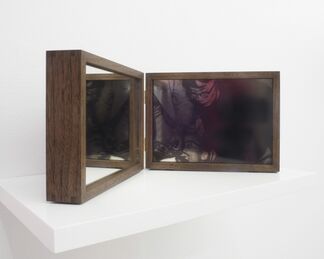 Hong-An Truong, We Are Beside Ourselves, installation view