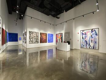 Colors of Empathy, installation view