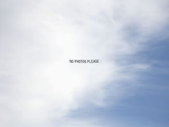 Debranne Cingari, ‘The Paparazzi’, 2021