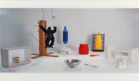 Mike Kelley, ‘Test Room Containing Multiple Stimuli Known to Elicit Curiosity and Manipulatory Responses (Graham Action) and (Harlow Action) (two works)’, 2001