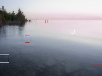 Susan Dobson, ‘Private Property’, 2020