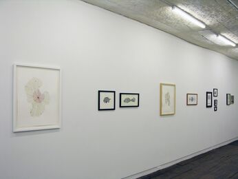 Unmappings, installation view