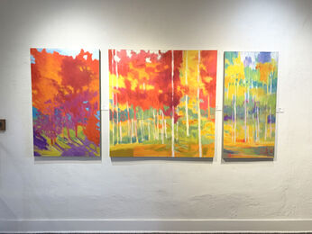 Marshall Noice: Transformations from Glacier to Whitefish, Winter 2021, installation view
