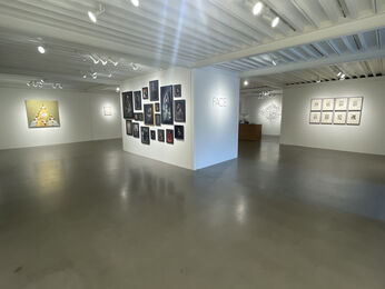 FACE, installation view