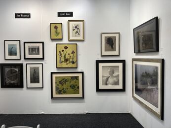 ARCADIA CONTEMPORARY at Art on Paper 2021, installation view